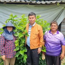 อธิบดีกรมหม่อนไหมลงพื้นที่เยี่ยมเยียนเกษตรกรผู้ปลูกหม่อนเลี้ยงไหมอุตสาหกรรม อำเภอเชียงคำ จังหวัดพะเยา